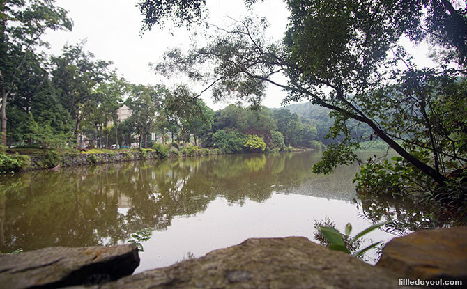 Lake at Bukit Batok Town Park, Little Guilin