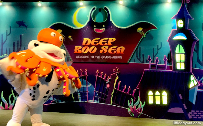 Deep Boo Sea 2022 at SEA Aquarium Resorts World Sentosa Deep Boo Sea 2022 at SEA Aquarium Resorts World Sentosa