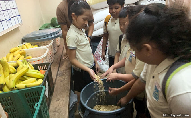 Elephant food storage area