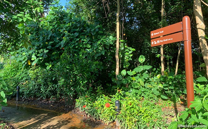 Nature Trail at Hampstead Wetlands Park