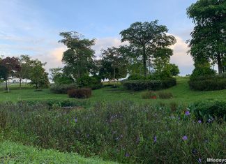 Holland Green Linear Park: A Walk Beside The Canal & Visit To A Playground - rain garden