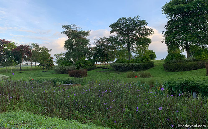 Holland Green Linear Park: A Walk Beside The Canal & Visit To A Playground - rain garden