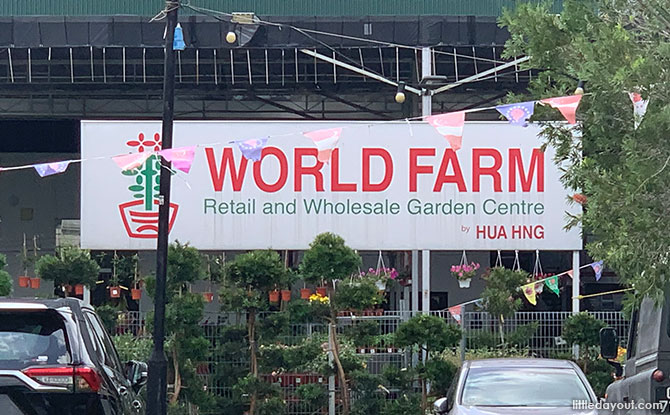 Grow at the Garden Centres – World Farm, Tai Kwang Garden