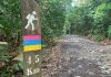 3 Levels Of MacRitchie Trails & Walks: From Easy To Difficult