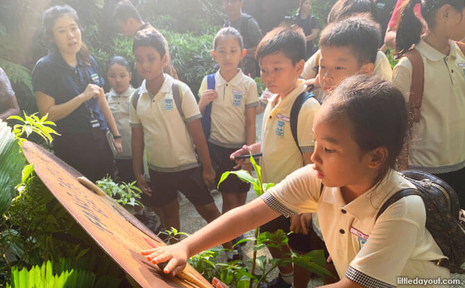 Learning about animals at the Singapore Zoo's holiday programme - A Mammoth Adventure Back in Time