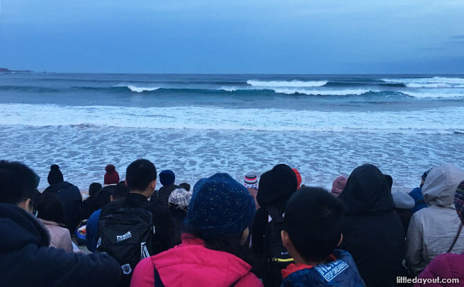 Waiting for the penguins at Phillip Island, Melbourne, Australia