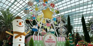 Poinsettia Wishes 2021 at Gardens by the Bay