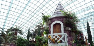 06-rose-romance-gardens-by-the-bay