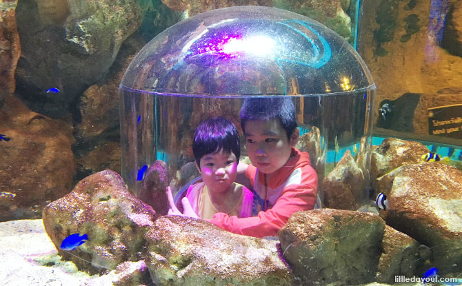 Visiting Sea Life Bangkok Ocean World at Siam Paragon with kids