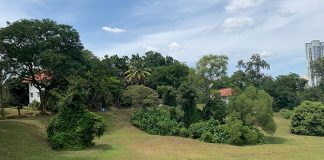 Tanglin Halt Rail Corridor & Wessex Estate: From Tracks To The Water Tower