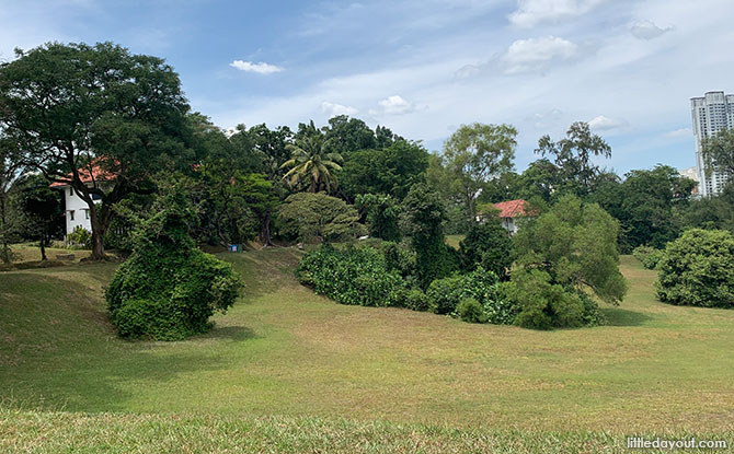 Tanglin Halt Rail Corridor & Wessex Estate: From Tracks To The Water Tower