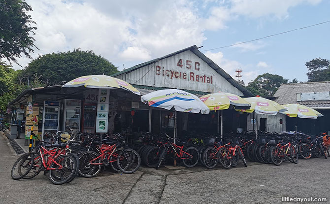 45C Bicycle Rental