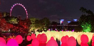 06a-eggs-gardens-by-the-bay