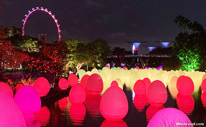 Eggs At Gardens By The Bay: Resonating Life On The Waters