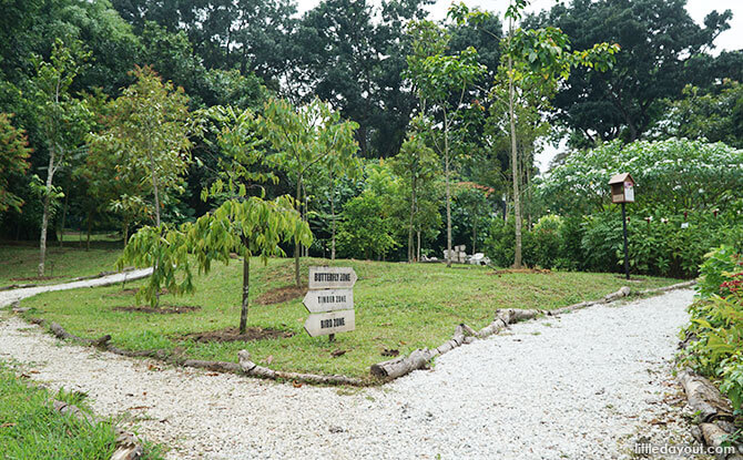 Native Garden, HortPark, Singapore