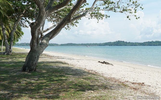 Changi Beach