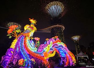 Mid-Autumn Festival 2018 At Gardens By The Bay: Autumn of Fantasies