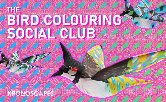The Bird Colouring Social Club