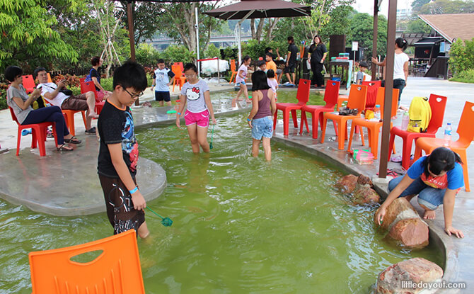 Long Kang Fishing at ORTO