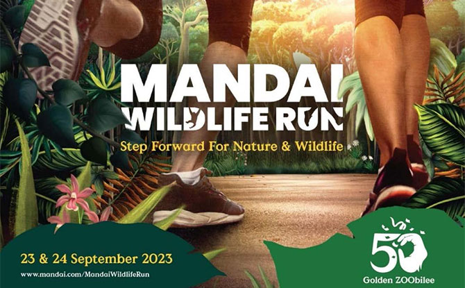 Mandai Wildlife Run Registration is Now Open