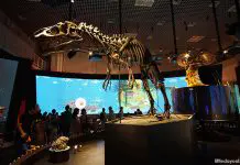 National Museum of Nature and Science, Tokyo