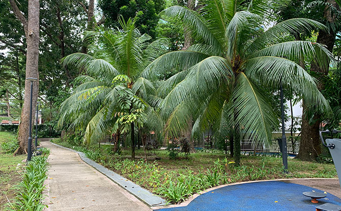 At the Toa Payoh North Park