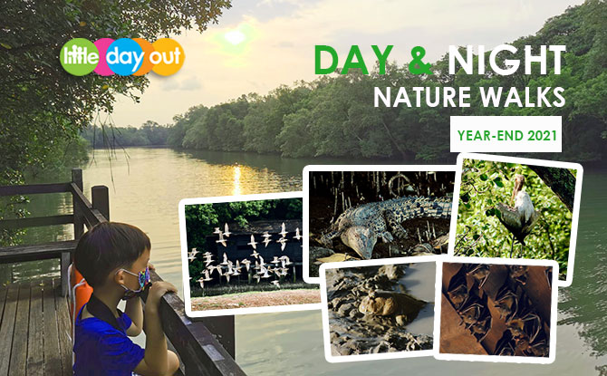 Little Day Out’s 2021 Wild & Wonderful Year-end Family Bonanza: Day & Night Nature Walks