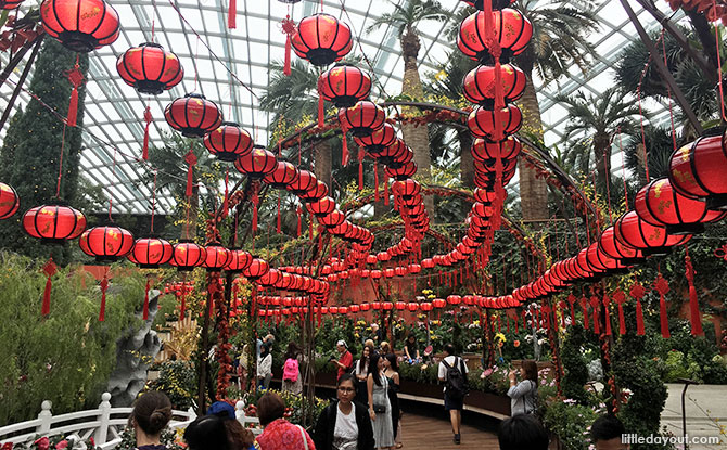 Red lanterns at Dahlia Dreams 2019