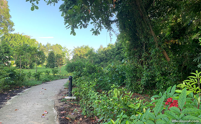 Nature Trail at Hampstead Wetlands Park