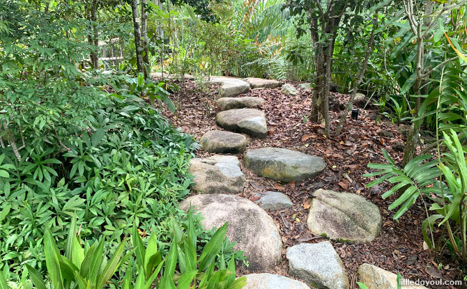 Pathway at Keppel Discovery Wetlands, Singapore Botanic Gardens