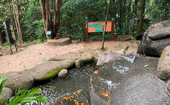 View from the side of the waterfall at Mount Imbiah