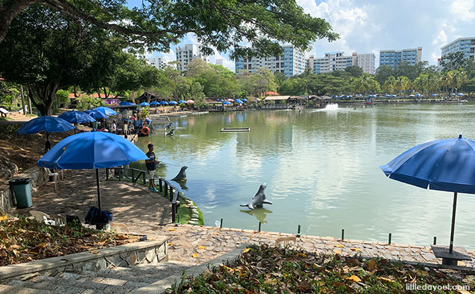 Fishing Ponds in Pasir Ris