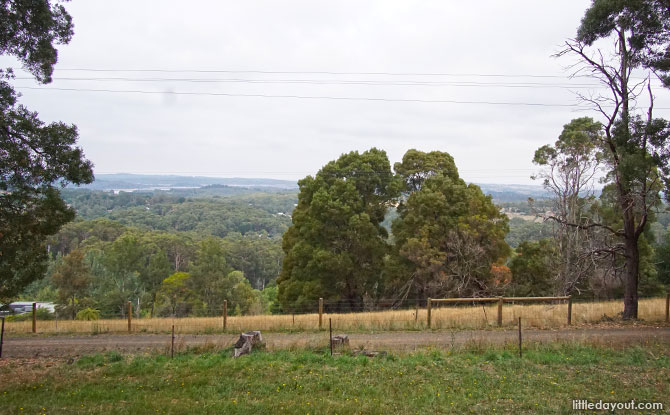 View from Puffing Billy