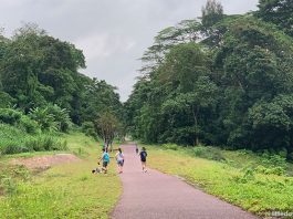 Walking The Rail Corridor: Exploring The Clementi Forest & Old Bukit Timah Railway Station
