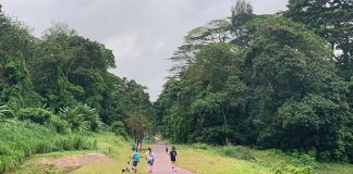 Walking The Rail Corridor: Exploring The Clementi Forest & Old Bukit Timah Railway Station