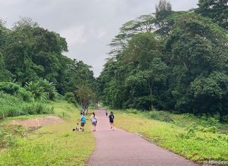 Walking The Rail Corridor: Exploring The Clementi Forest & Old Bukit Timah Railway Station