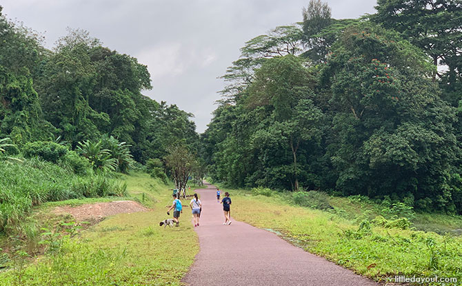 Walking The Rail Corridor: Exploring The Clementi Forest & Old Bukit Timah Railway Station