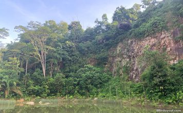 Rifle Range Nature Park: Quarry Wetland, Colugo Deck & 7 KM Of Trails ...