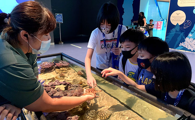 S.E.A. Aquarium - Children experiencing the Discovery Pool