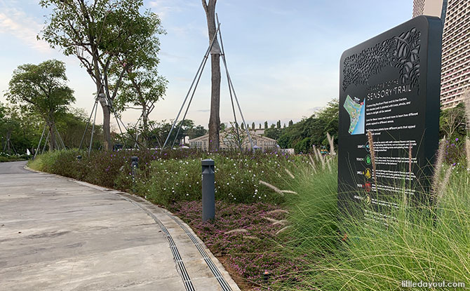 Gardens by the Bay’s Sensory Trail - Nature-based Learning