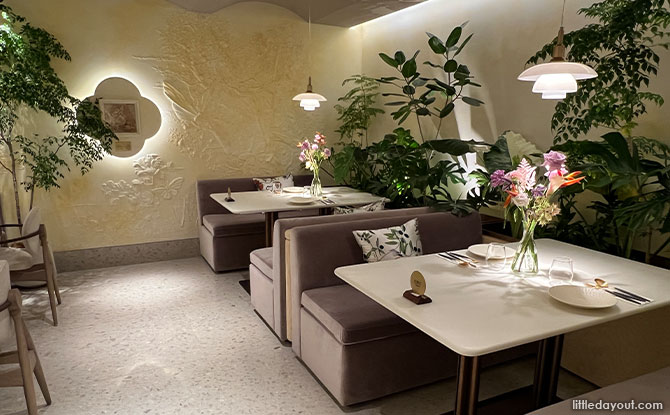 interior design of the tomacado