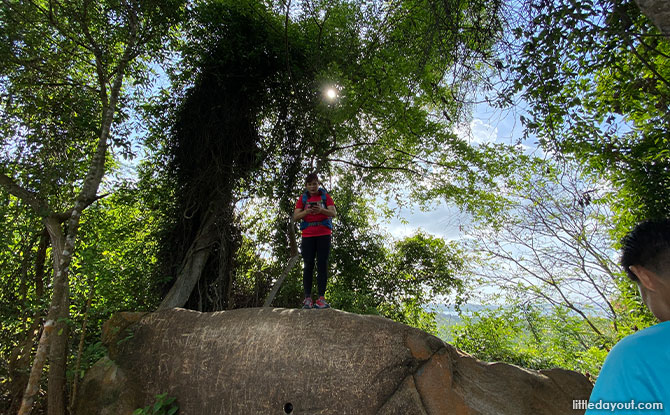 Puaka Hill Top Granite Boulder