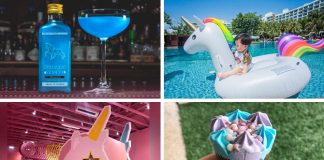 Where To Find Unicorns In Singapore