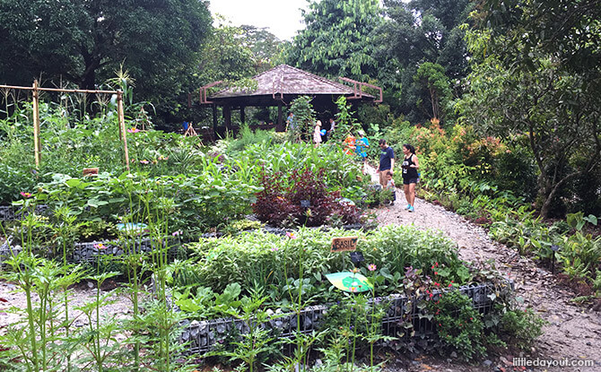 Overview of Farm Zone at Jacob Ballas Children's Garden New Extension