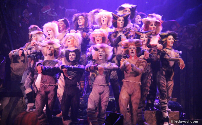 CATS Musical