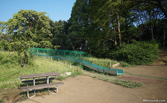 Park slide