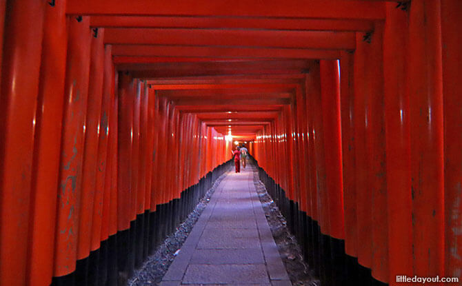 Torri Gates Fushimi Inari Shrine