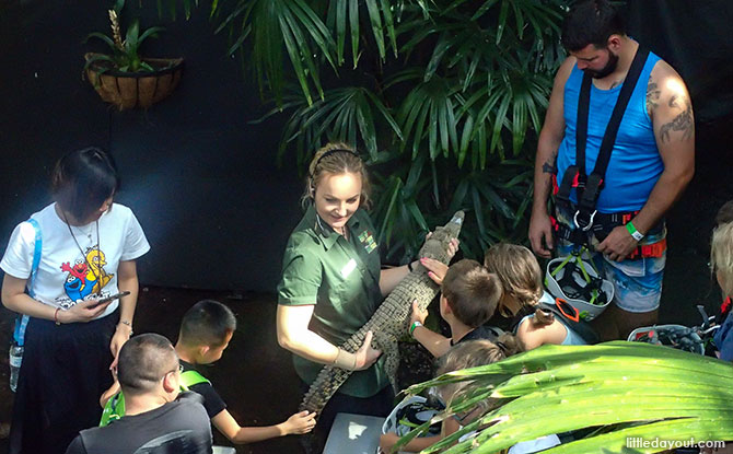 Animal Encounters at Cairns ZOOM & Wildlife Dome, Australia