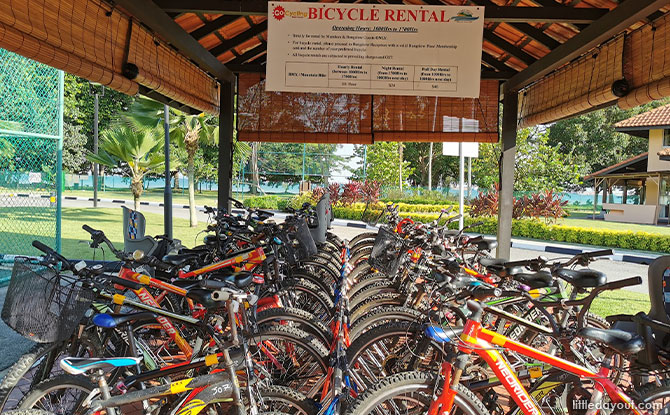 Cycling at East Coast Park and Jurassic Mile