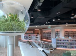 Choa Chu Kang Public Library: Reconnect With Nature At The Lot One Shoppers’ Mall Library